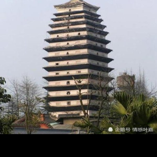 龙护舍利塔 - 图片1