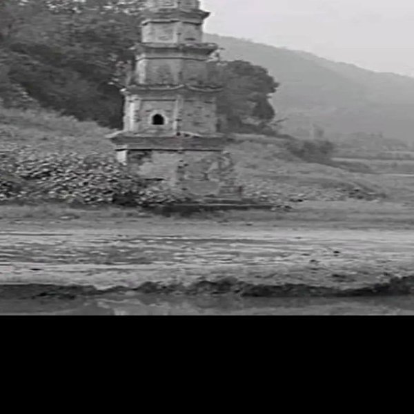 龙护舍利塔 - 图片2