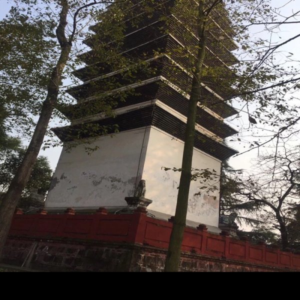龙护舍利塔 - 图片5