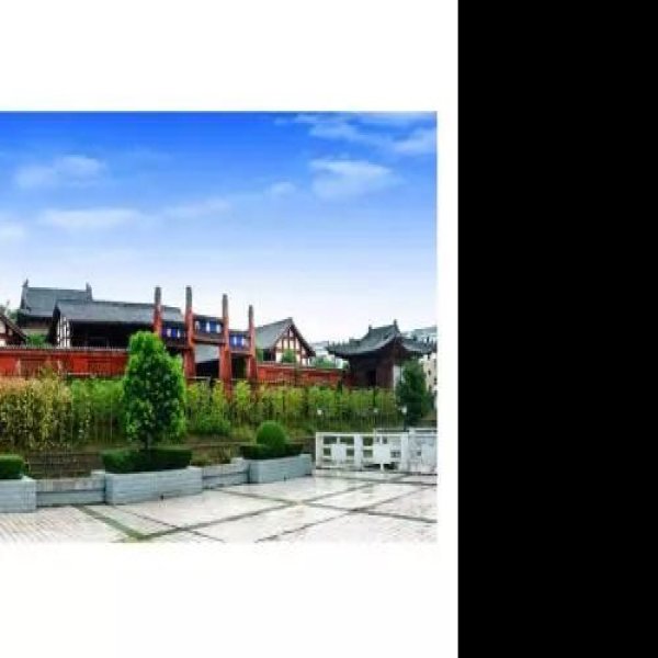 西充文庙 - 图片8