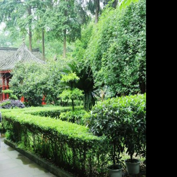 四川峨眉山报国寺 - 图片6