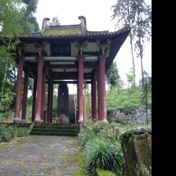 樊敏阙及石刻 - 图片10
