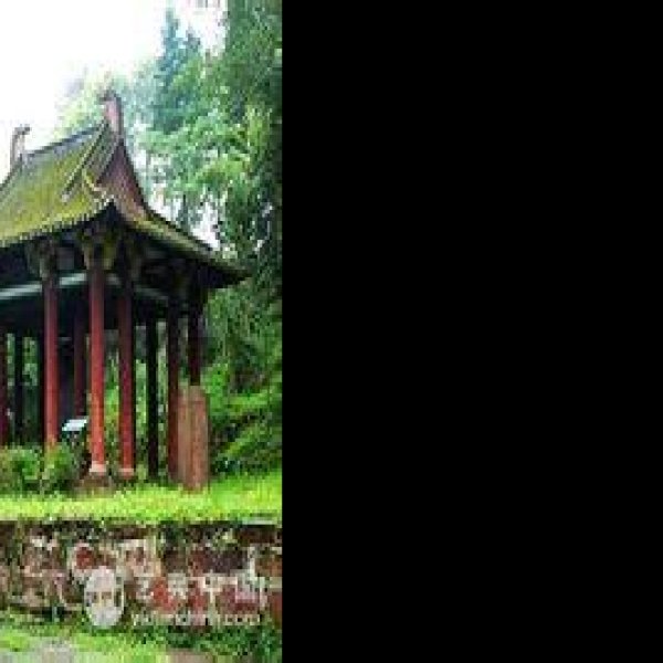 樊敏阙及石刻 - 图片4