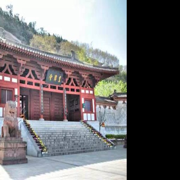 皇泽寺 - 图片7