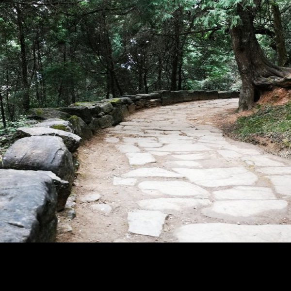鹤鸣山道教石刻 - 图片9