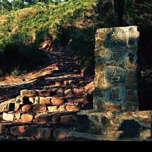 唐家河茶马古道 - 图片2