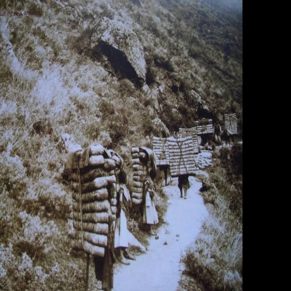 唐家河茶马古道 - 图片5