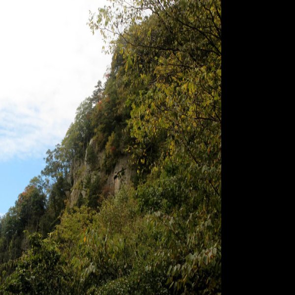 唐家河茶马古道 - 图片8