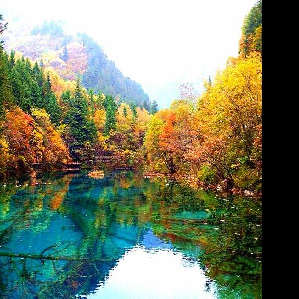 四川九寨沟风景区 - 图片6