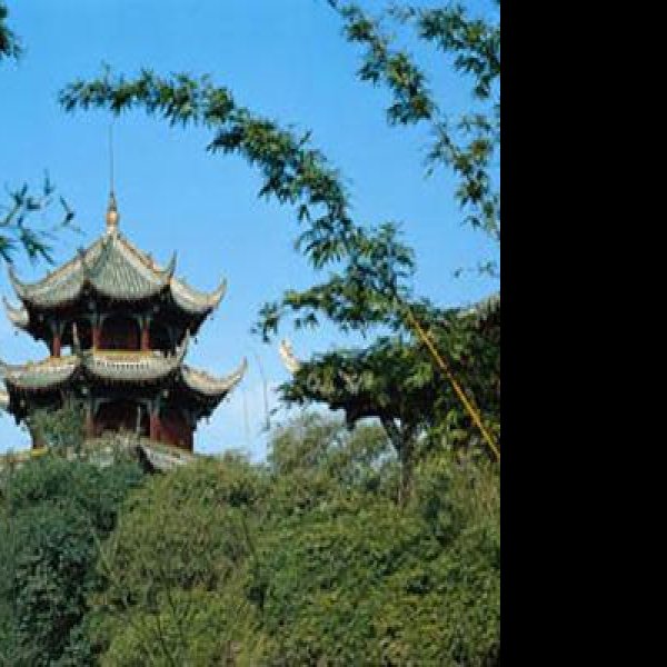 望江楼 - 图片7
