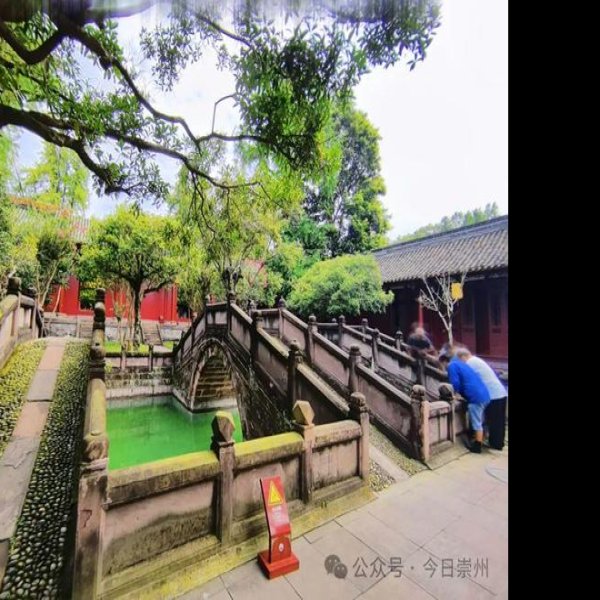 崇州罨画池 - 图片3