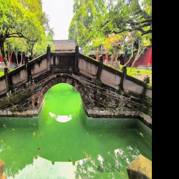 崇州罨画池 - 图片4