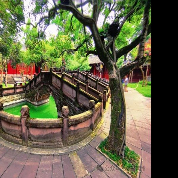 崇州罨画池 - 图片5