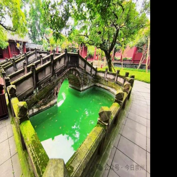 崇州罨画池 - 图片6