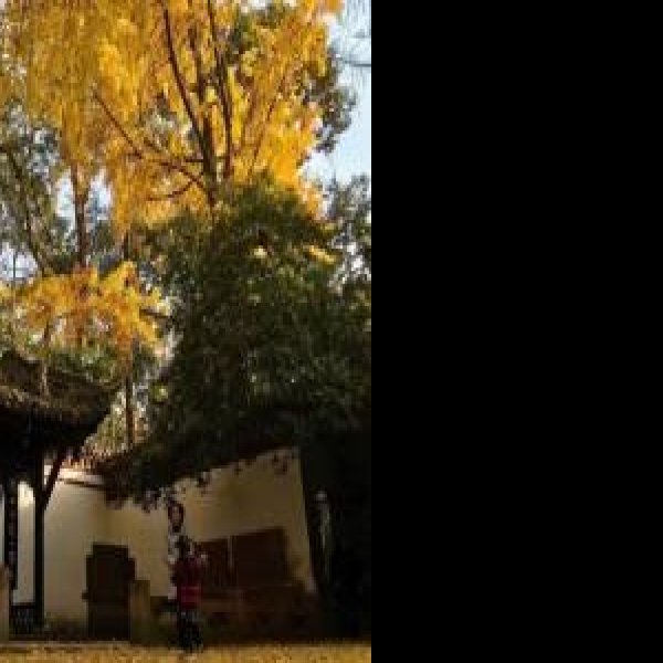 崇州罨画池 - 图片9