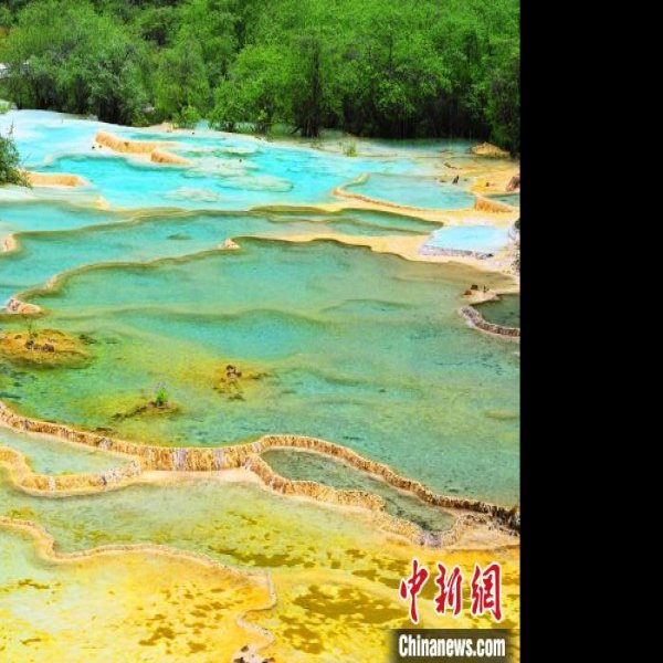四川黄龙风景区 - 图片6