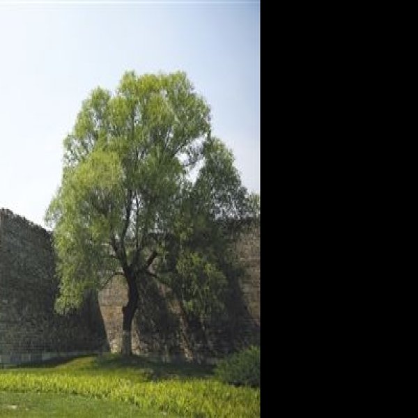 西交民巷近代银行建筑群 - 图片7