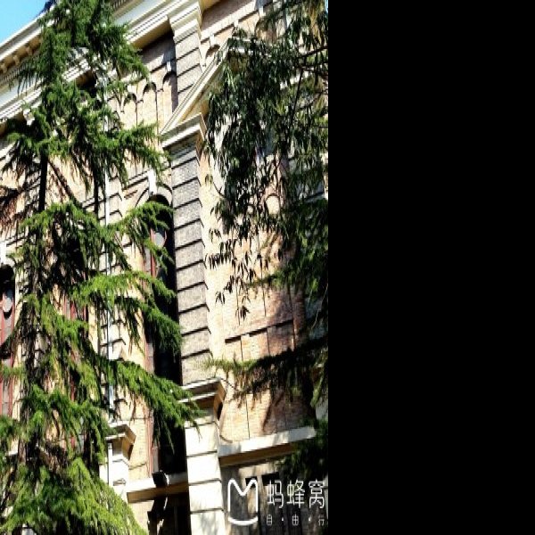 天津工商学院主楼旧址 - 图片3