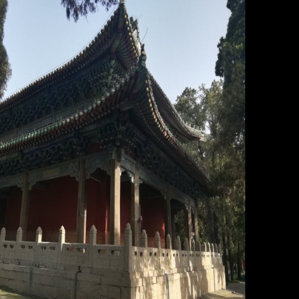 曾庙 - 图片2