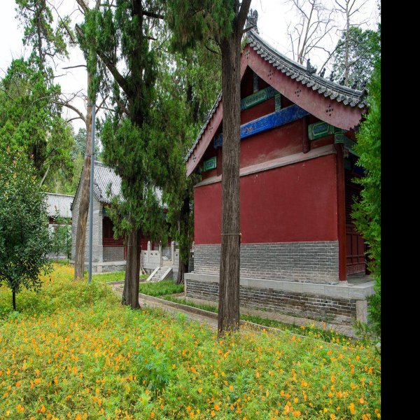 曾庙 - 图片7