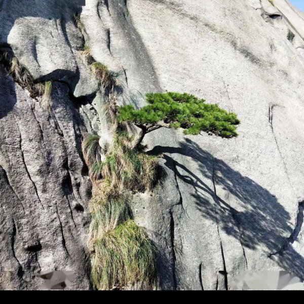 云峰山、天柱山摩崖石刻 - 图片5