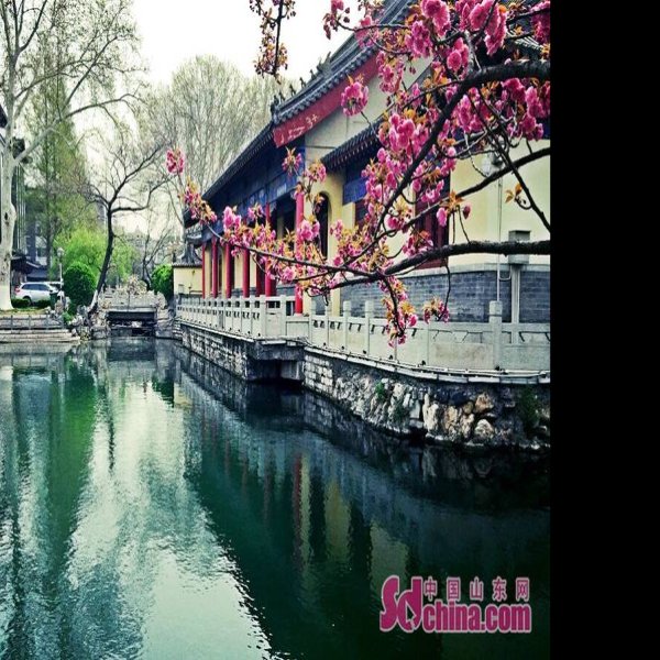 济南珍珠泉大院 - 图片5