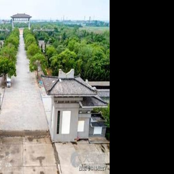 东平陵故城 - 图片4