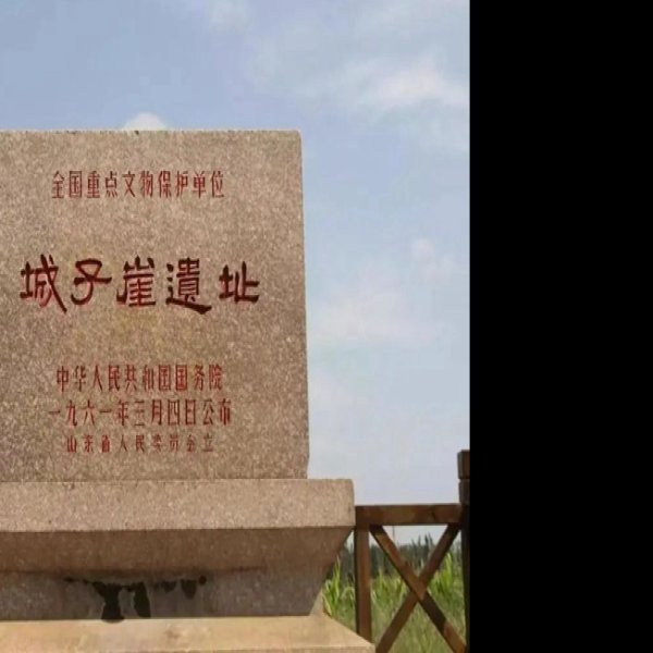 城子崖遗址 - 图片10
