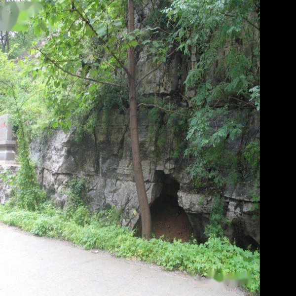 沂源猿人遗址 - 图片3