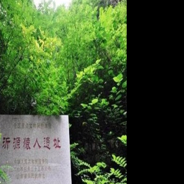 沂源猿人遗址 - 图片4