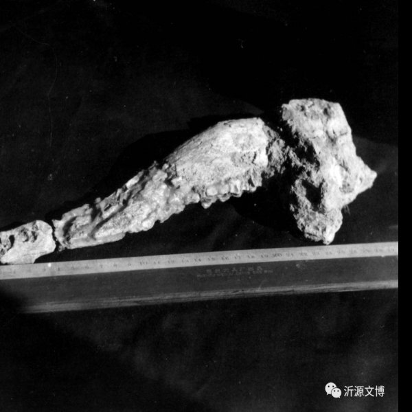 沂源猿人遗址 - 图片7
