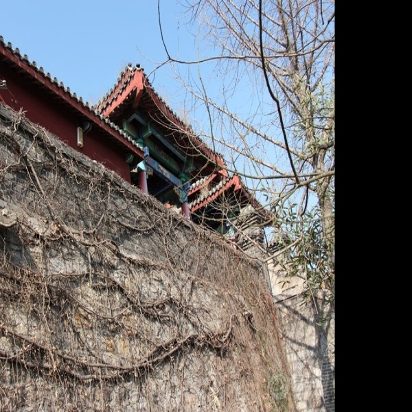 滕国故城 - 图片3