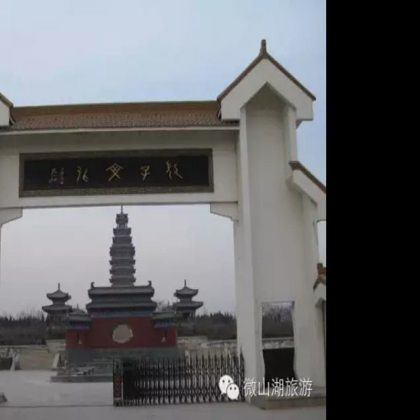 微山两城遗址 - 图片10