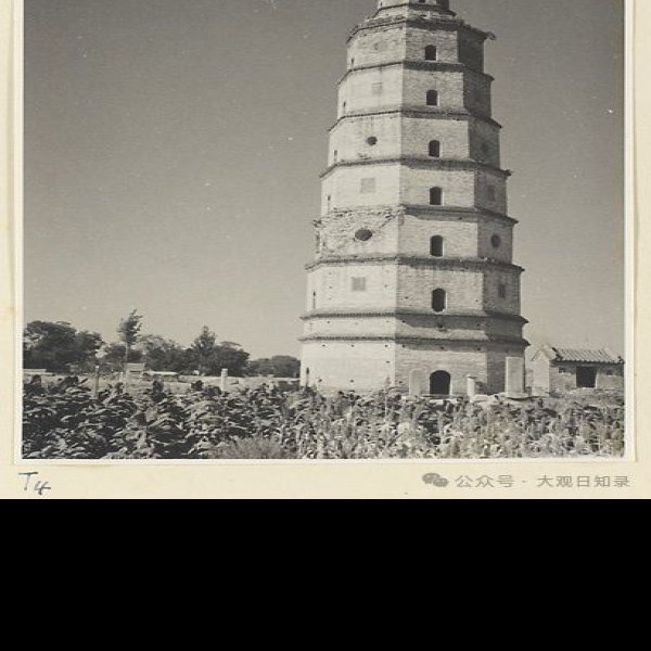 兖州兴隆寺塔 - 图片2