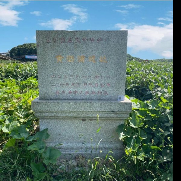 黄泗浦遗址 - 图片3