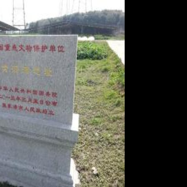 黄泗浦遗址 - 图片4