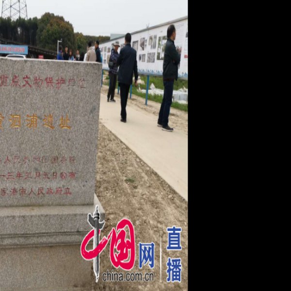 黄泗浦遗址 - 图片5