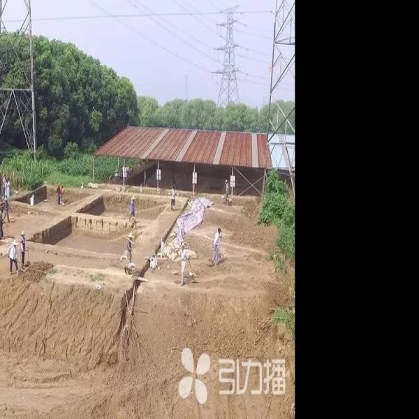 黄泗浦遗址 - 图片6