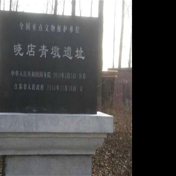 晓店青墩遗址 - 图片1