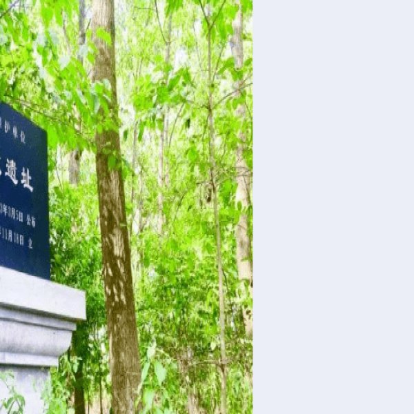 晓店青墩遗址 - 图片8