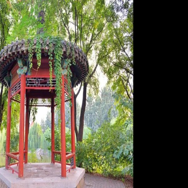 燕园 - 图片10