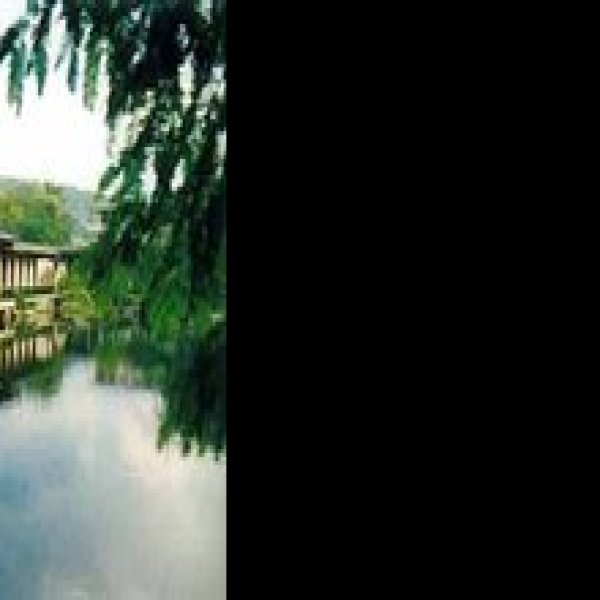 燕园 - 图片8