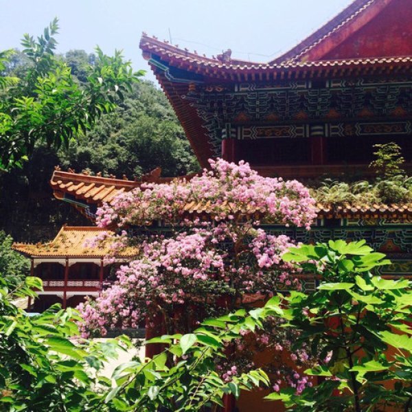 九龙寺 - 图片5