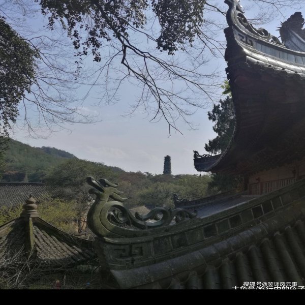国清寺塔 - 图片10