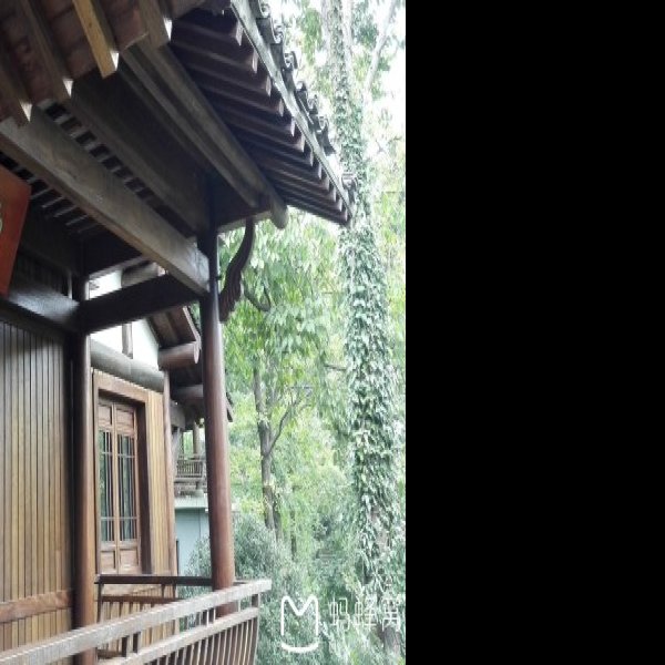 中国茶叶博物馆 - 图片8
