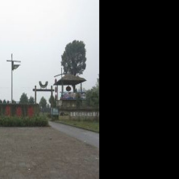 马家浜遗址 - 图片4