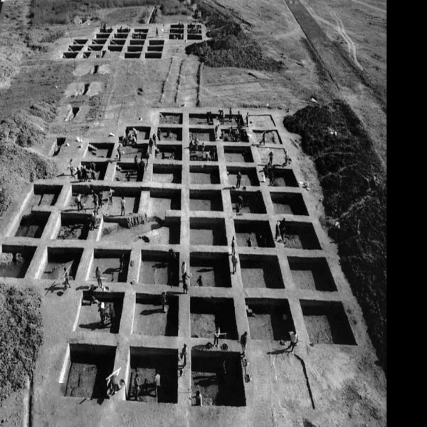 马桥遗址 - 图片1