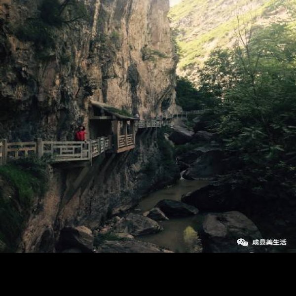 西狭颂摩崖石刻 - 图片10