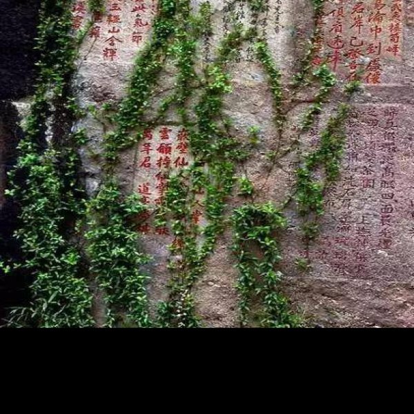 武夷山摩崖石刻 - 图片1