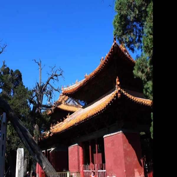 曲阜孔庙碑刻 - 图片5
